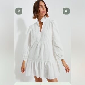 Tuckernuck White Swiss Dot Palmerston Dress 3X